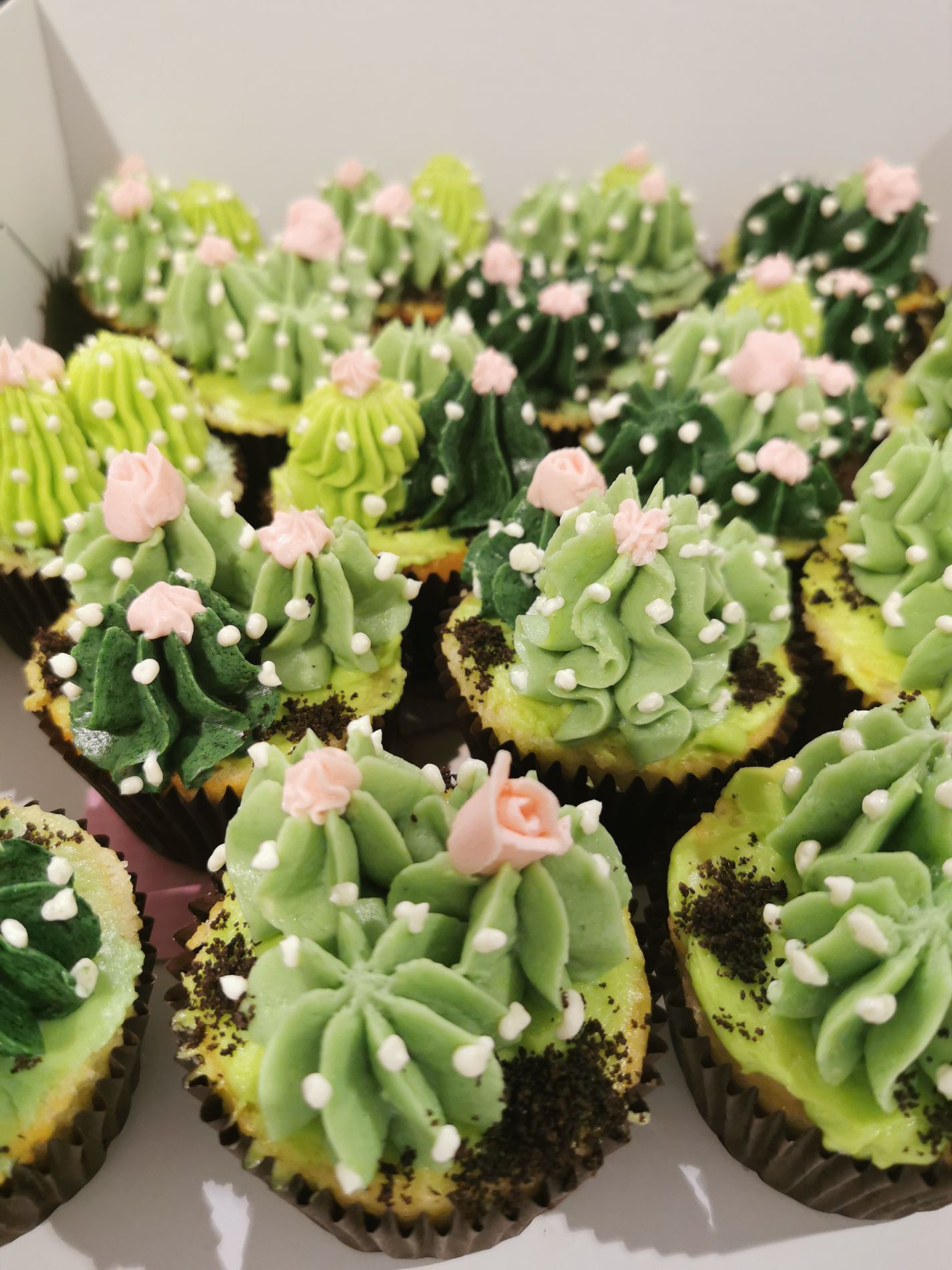 postzegel Wonen Afsnijden Cactus cupcakes - Enjoy-Cakes