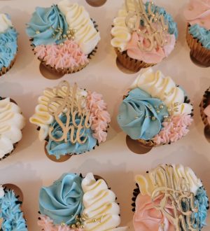 he or she gender reveal cupcakes