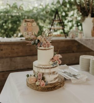Semi naked rustic wedding cake