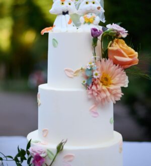 Romantische bruidstaart met katten bruidstopper Romantische bruidstaart met katten bruidstopper